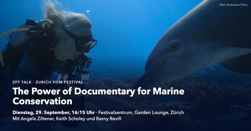 🐬🎥 «The Power of Documentary for Marine Conservation»
Unsere Präsidentin, @angelaziltener, nimmt am @zurichfilmfestival... 🐬🎥 «The Power of Documentary for Marine Conservation»
Unsere Präsidentin, @angelaziltener, nimmt am @zurichfilmfestival...